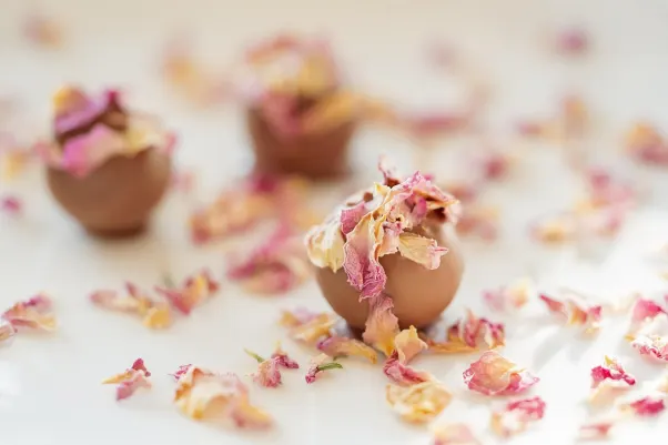 カジノ ロケット スロッツ Android/iOS アプリ